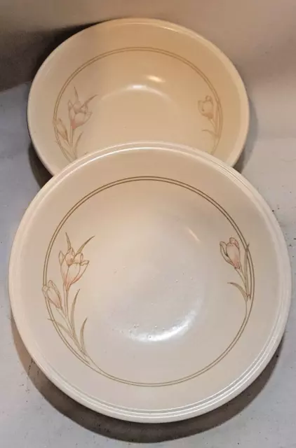 Biltons Staffordshire Spring Bouquet 2 X Cereal  Soup  Dessert Bowls