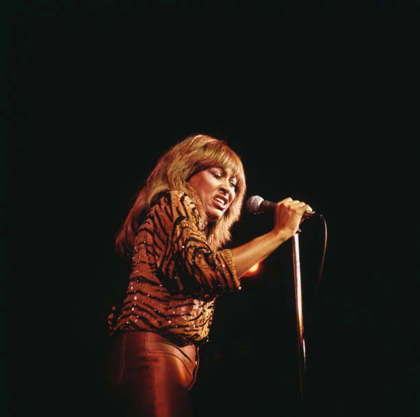 Tina Turner (Singing) Mini Size