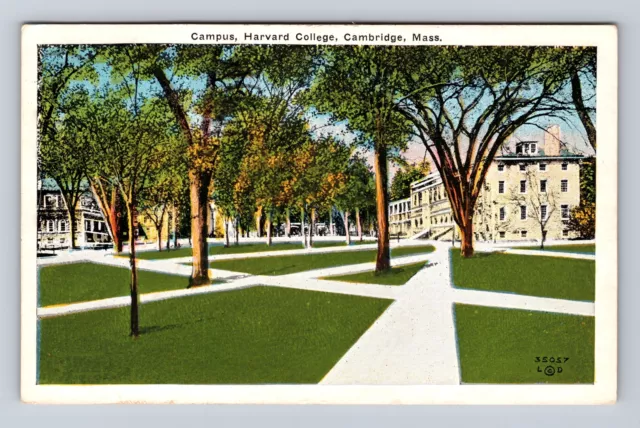 Cambridge MA- Massachusetts, Campus, Harvard College, Vintage c1936 Postcard