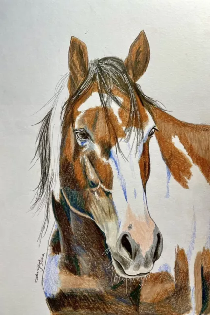 Dessin original Art Crayon croquis coloré Cheval sauvage mustang Picasso 8"x10"