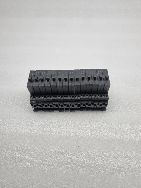 Disjoncteur 2 Pôles 30-60A - Protection Fuite 500 MA, Tension 240V, Installation Rail DIN | Pour Circuits éclairage, Moteurs