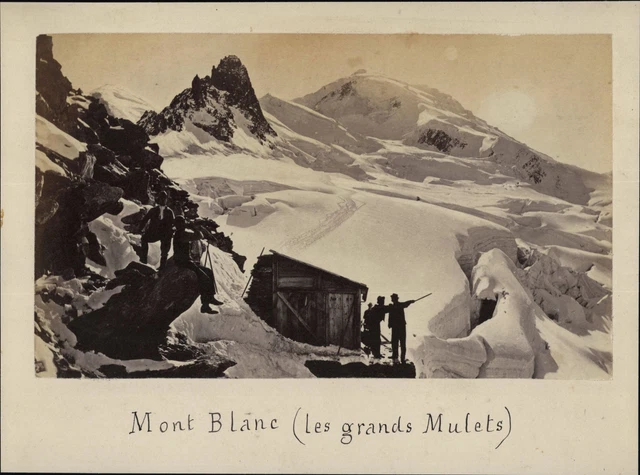 Photo Vintage Vallée De Chamonix, Mont Blanc 1875 - Tirage Albuminé 9,5x15,5 Cm - Collection