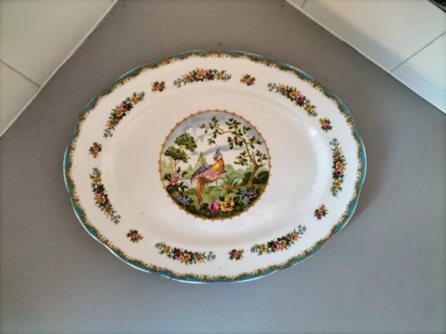 Royal Albert 1940's ' CHELSEA BIRD '  14.5'' Oval PLATTER  -  Blue colourway