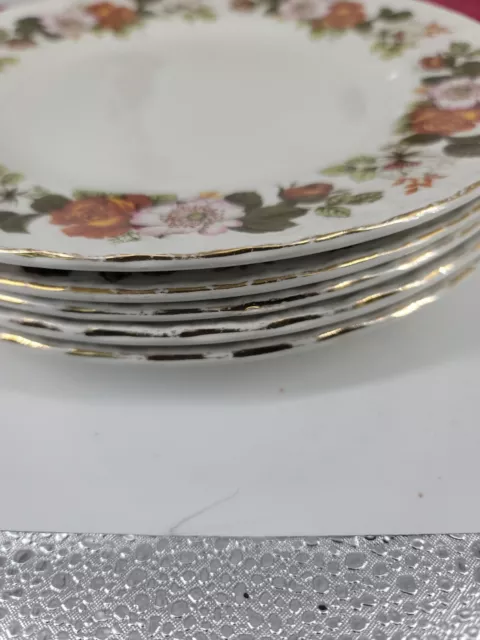 Barker Bros Royal Tudor Ware Dinner Plates 6pc Rosina Ironstone 1970s-80s VTG 2