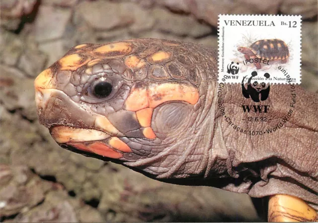 E0008 WWF Maximum Card 1992 Fauna Animals Venezuela Red-footed Tortoise