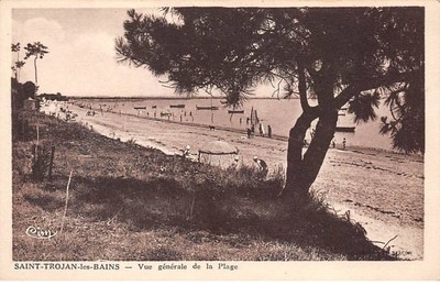17  ILE D OLERON SAINT TROJAN LES BAINS A VOL D OISEAU COTE SUD 