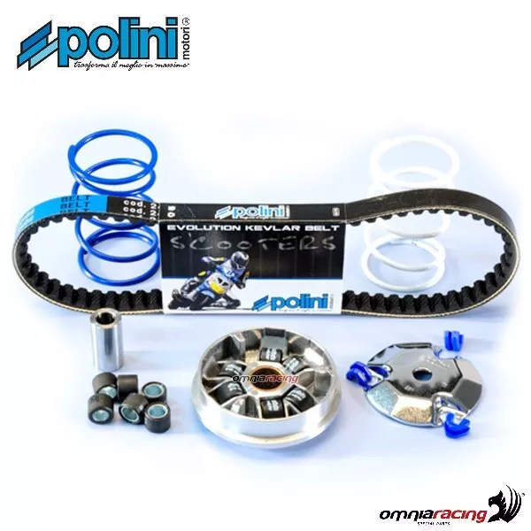 Polini Variator-Kit f�r Peugeot Ludix 50 Blaster 2T wassergek�hlt