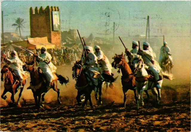 CPM AK MAROC - La Fantasia-Moussem MOULAY Abdellah (329144)