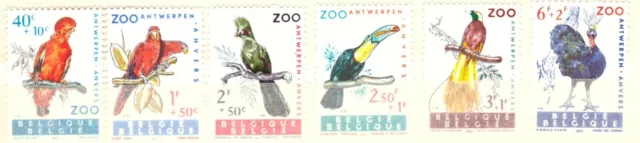 Belgique 1962 Oiseaux Zoo Anvers neufs**
