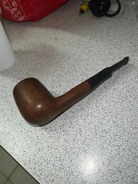 pipa maestro ted 1983