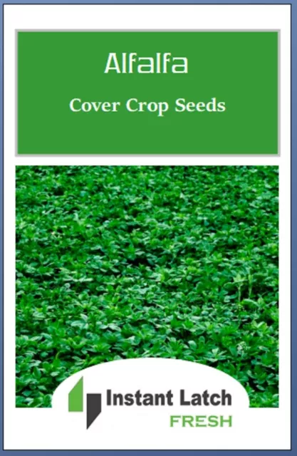 Alfalfa Cover Crop Seeds | NON-GMO | Heirloom | Fresh Garden Seeds 2