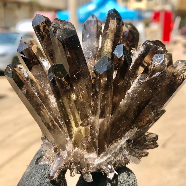 343g  New Find Black Phantom Quartz Crystal Cluster Mineral Specimen Healing 3