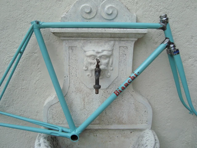 Corsa Telaio Bianchi Usato TELAIO BIANCHI FRECCIA Fulmine Bici Da