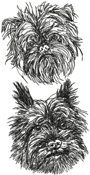 Affenpinscher Dog Breed Personalized Embroidered Fleece Stadium Blanket Gift
