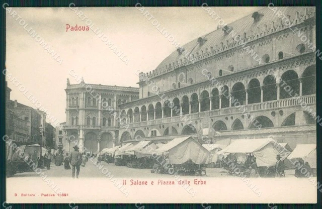 Padova Città Mercato cartolina QT1364