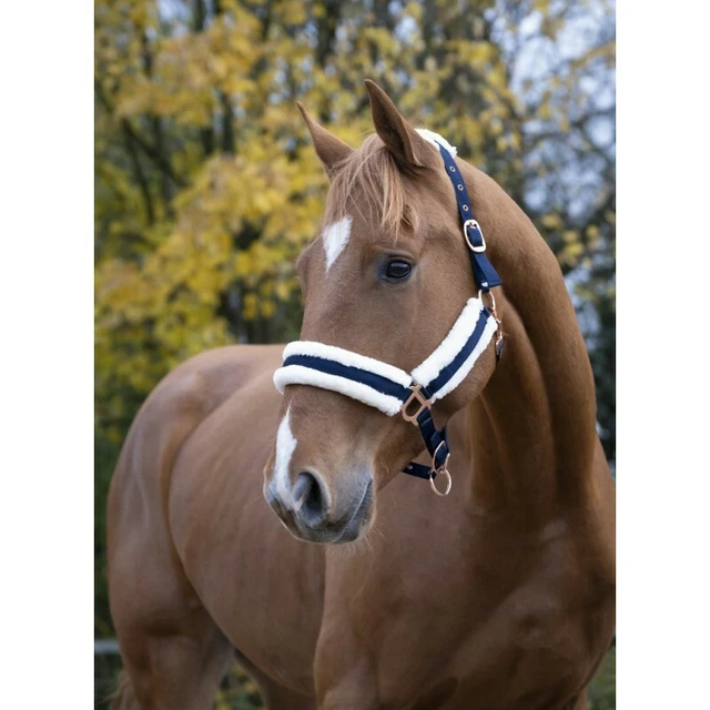 Longe pour licol COVALLIERO Vert olive , équitation , cheval