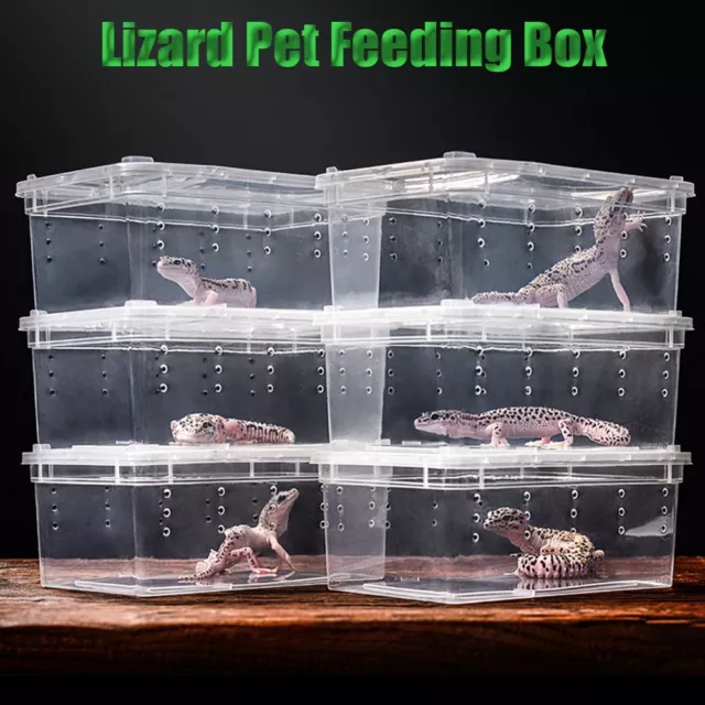 Tarantulas Breeding Living House Feeding Box Insect Reptile Terrarium CageClear-