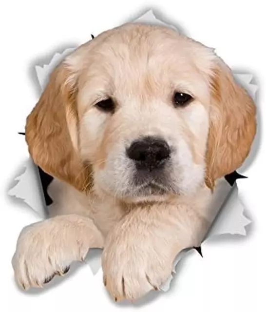 3D Dog Stickers - 2 Pack - Golden Retriever Puppy Stickers for Wall, Fridge, Toi