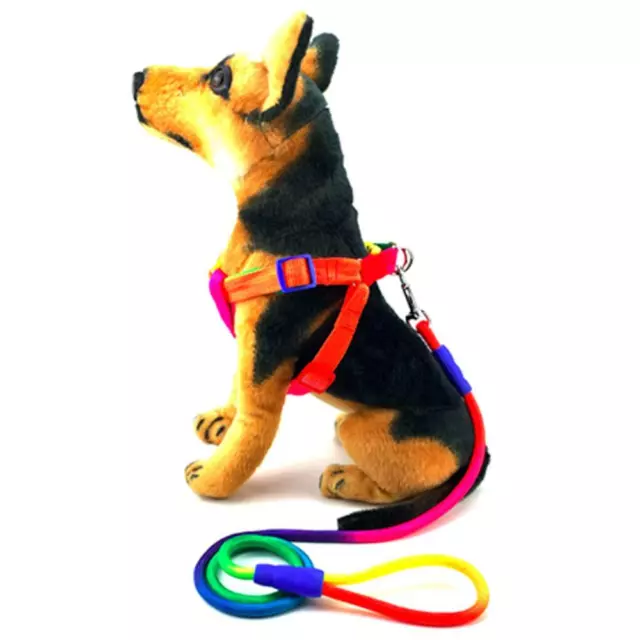 Rainbow Dog Leash Rope Nylon Dog Collar Harness Pet Leash Walking Training Leash