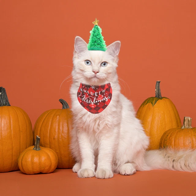 Fiesta de Navidad Disfraz Mascota Bandana Sombrero Portátil