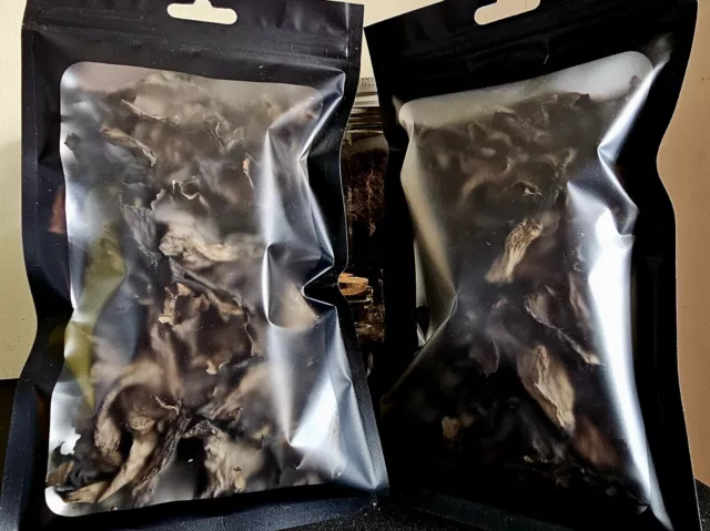 Premium Wild Black Trumpet Mushrooms .5 oz Dried-Wild Maine Harvested 2023