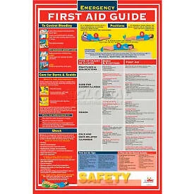 Poster, First Aid Guidefety, 18 x 24 National Marker Company PST002
