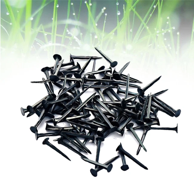 500 G/pack Hardware-Reißnägel Gemeinsame Schuhspanner Stiefel Nagel