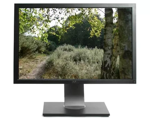 Dell U2410f 24"UltraSharp H-IPS CCFL LED-Backlit HDMI Monitor with VGA DVI DP