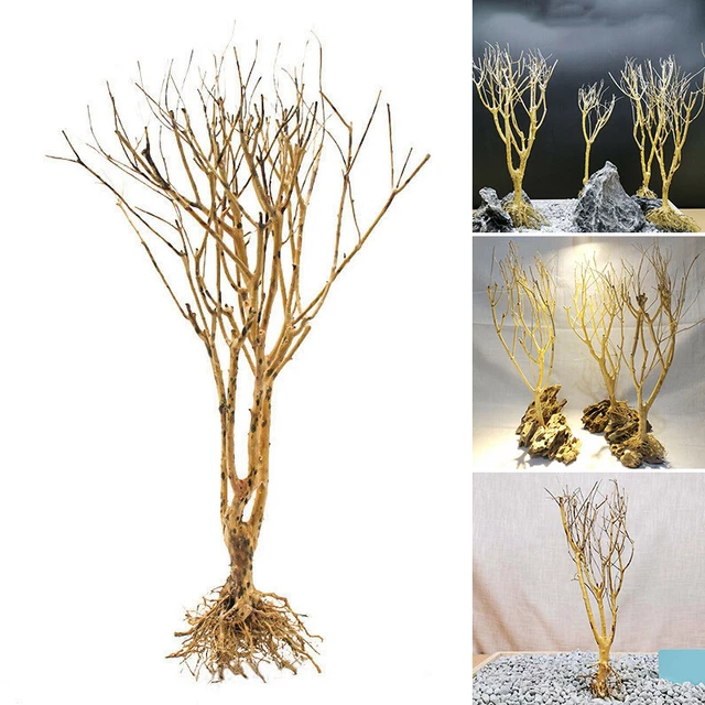 Natural Root Driftwood Moss Tree Fish Tank Aquarium Ornament Landscape N