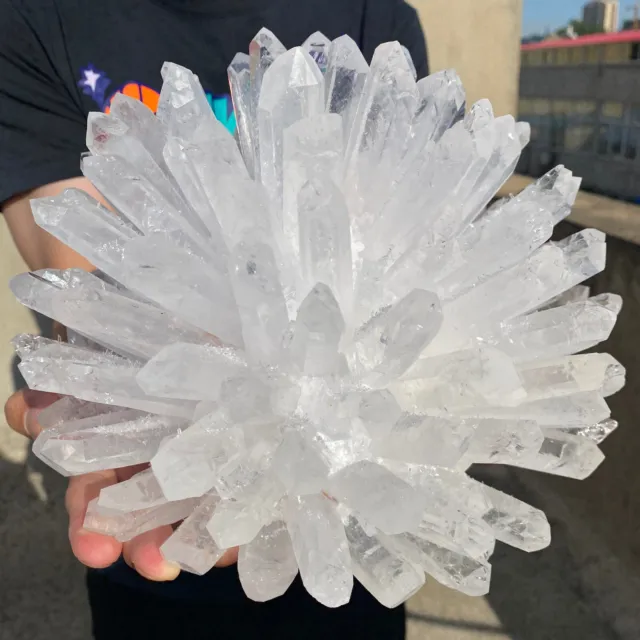 17lb New Find white Phantom Quartz Crystal Cluster Mineral Specimen Healing