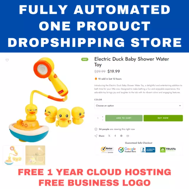 Fully Automated One Product Dropshipping Business Store website + Cloud Hosting