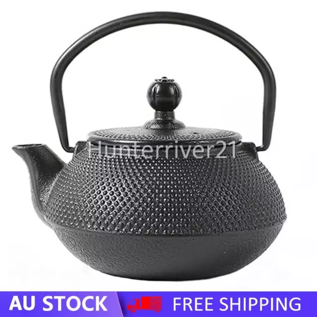 Teapot Japanese Style Tea Pot Cast Iron Kettle Tetsubin Drink Black Case