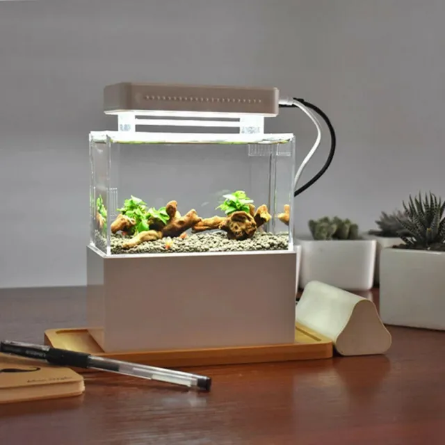 Fish Tank Aquarium Water Filtration Small Tank LED Lamp + Air Pump Home Office