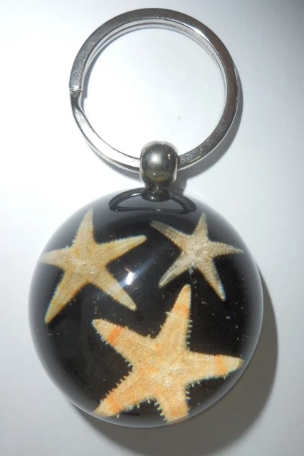 Starfish Dome Shape Key Ring Flatbottom Seastar Asterias amurensis on Black