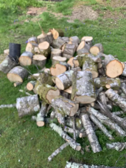 firewood logs for sale - Mainly Silver Birch.