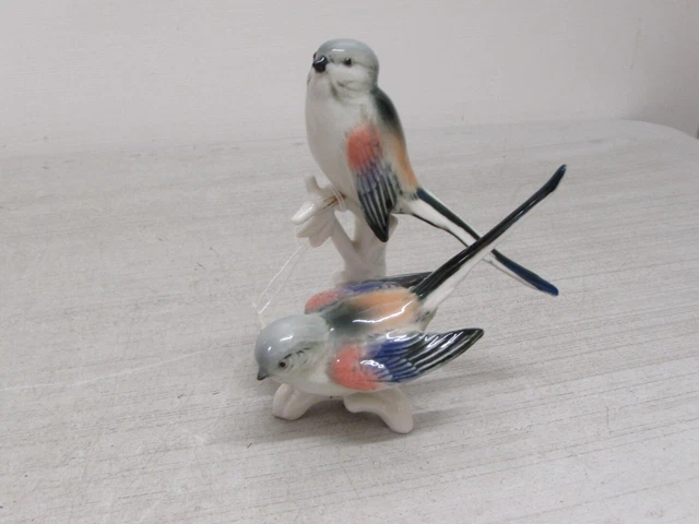 期間限定セール Dresden karl Ens Blue Tit-