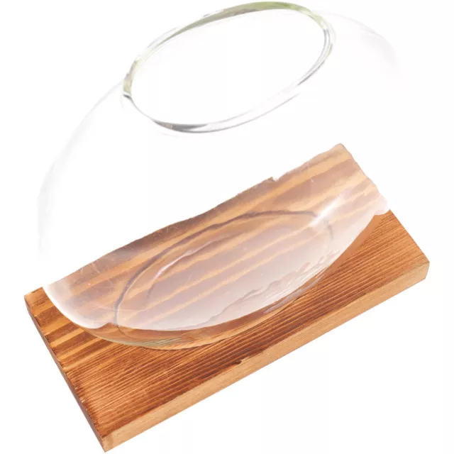 glass vases Novel Vase Plant Propagation Station Hydroponic Bottle Plant