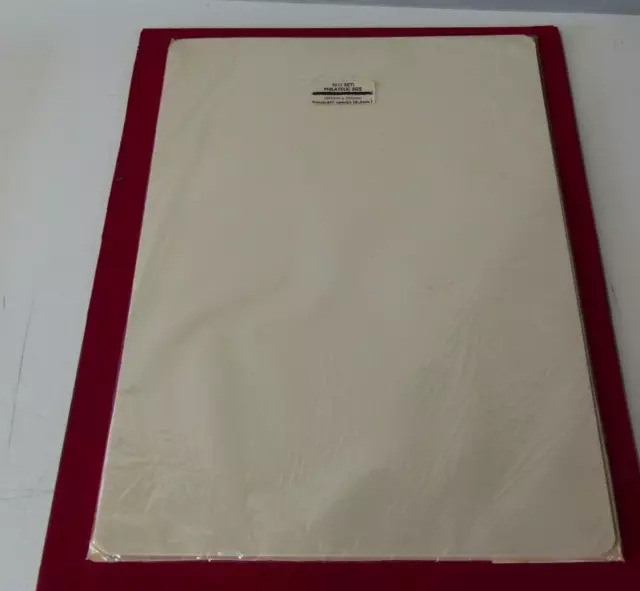 GODDEN - Philatelistische Größe scharnierlose Blätter leer x 10 (Größe 241x321mm)