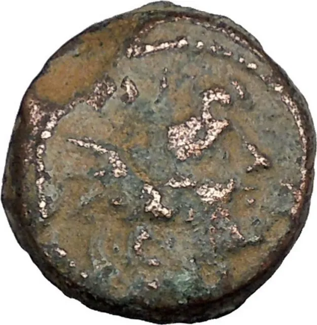 Antiochos VIII (Grypos) Seleukid Kingdom 121BC Ancient Greek Coin Eagle i48436