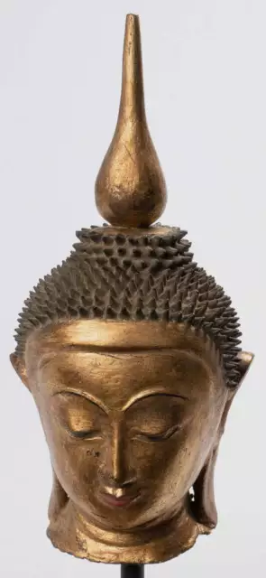 Antique Burmese Style Mounted Shan Gold Lacquer Buddha Head - 35cm/14"