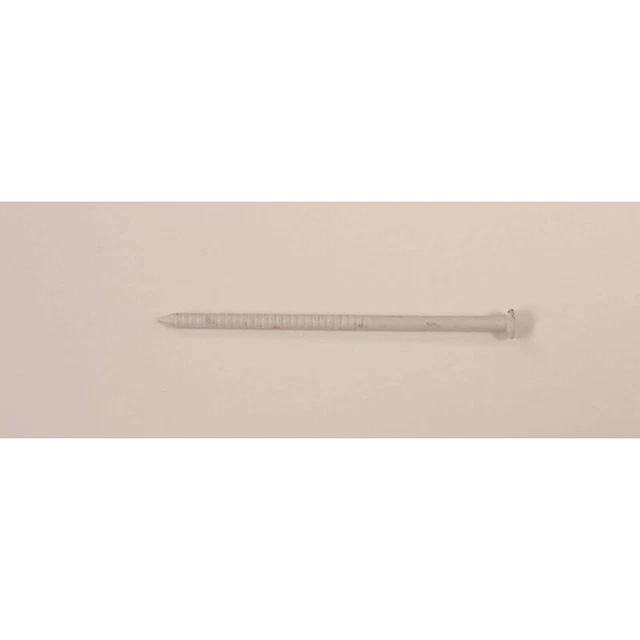 Maze Nails PVC8A1128252 Stainless Steel Flat Head Trim Nails 8D x 2-1/2 L in.