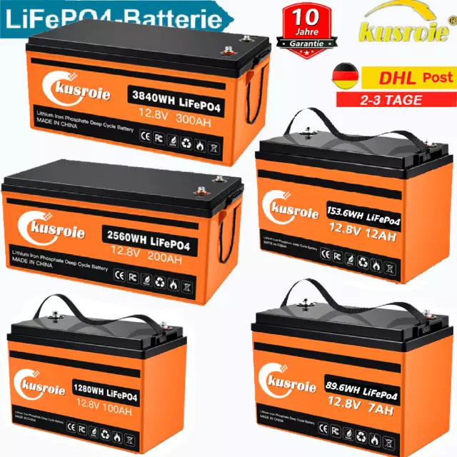 12V 200AH Lithium Batterie LiFePO4 Akku BMS für Wohnmobil Solarbatterie Boot LOT
