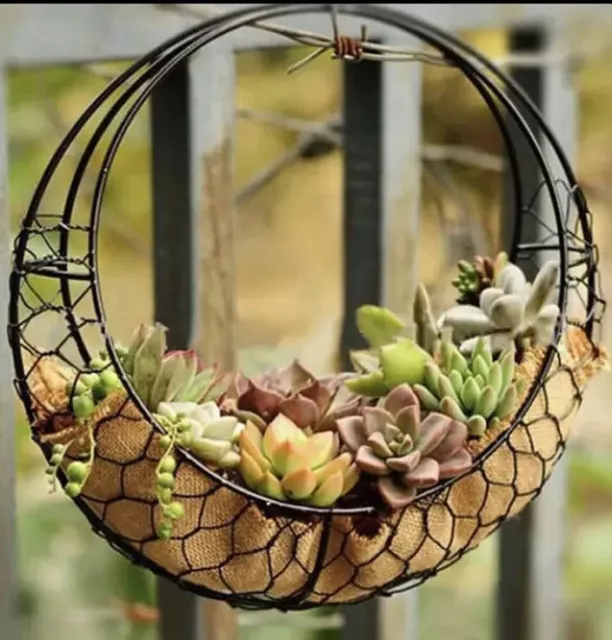 Iron Wire Wreath Frame Succulent Pot Hanging Planter Plant Holder decor