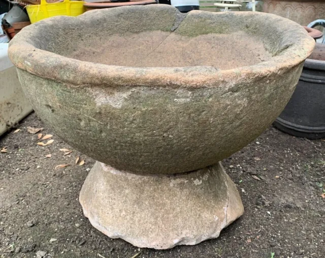 Antique Stone bowl planter on plinth