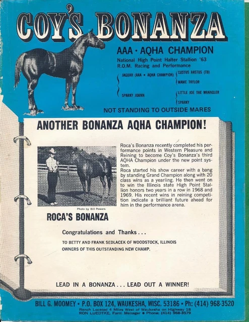 Magazine Ad - 1970 - Moomey Horse Farms - Waukesha, WI - COY'S BONANZA