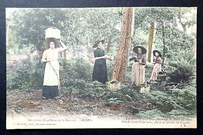 4. Antique Resinieres (Cueillette de la Resine) LANDES CARTE POSTALE Postcard