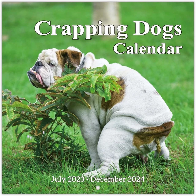 Aspca Calendar 2024 Calendar 2024 Peta Kaylee