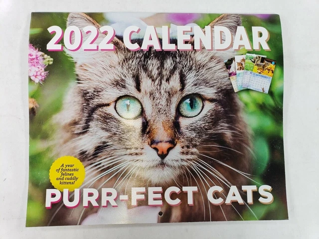 2022 Purr-fect Cats Calendar Good Condition