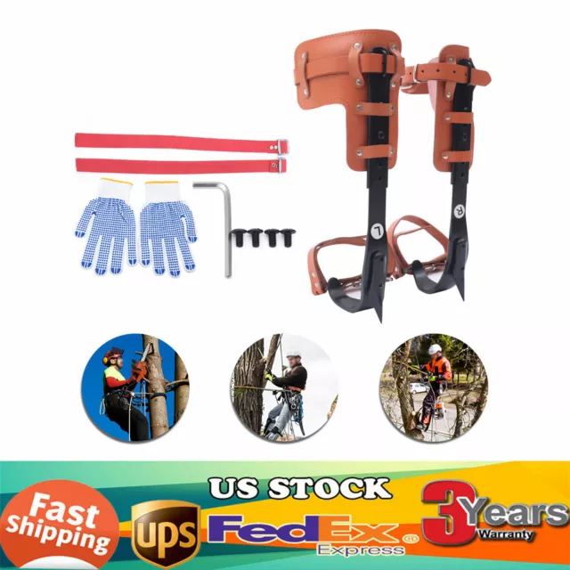 Tree Climbing Spike Set Pole Climbing Spurs Steel Climber Strap Gaffs Adjustable