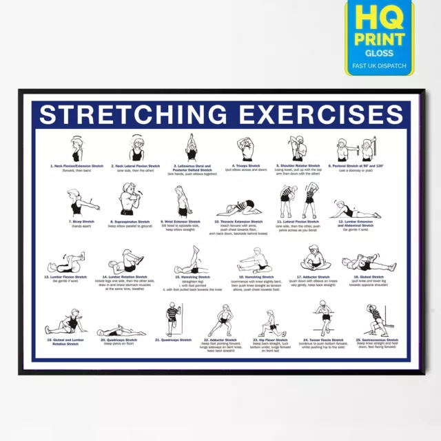 Stretching Fitness Training Chart Workout Exercise Poster GYM *LAMINATED*